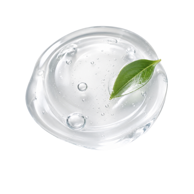 Sodium PCA ingredient
